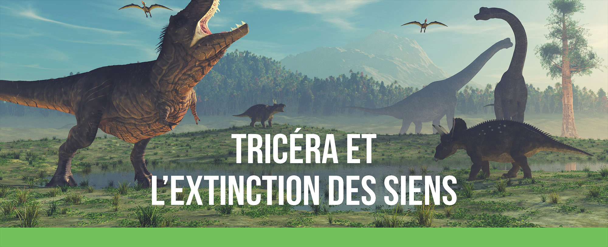 Tricéra et l’extinction des siens